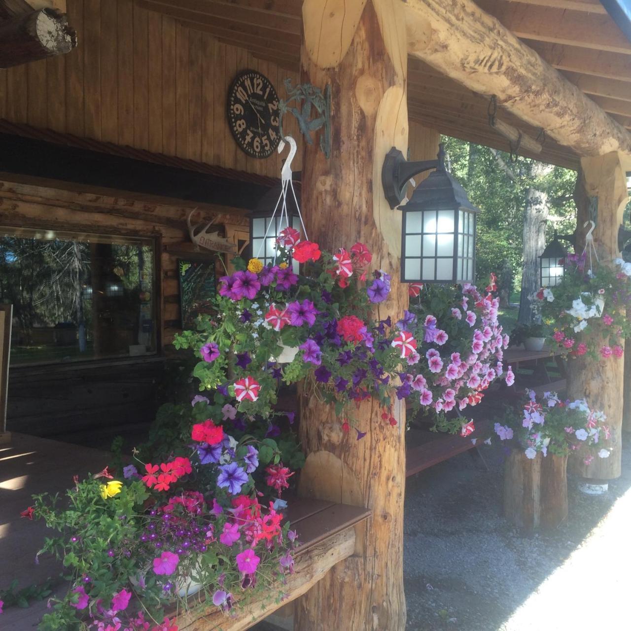 Tetsa River Lodge Екстериор снимка
